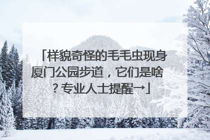样貌奇怪的毛毛虫现身厦门公园步道，它们是啥？专业人士提醒→